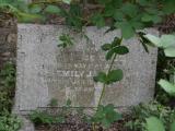 image of grave number 386043